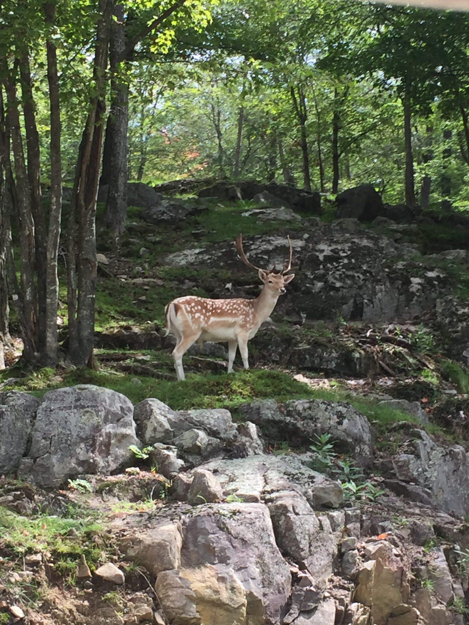 parc omega