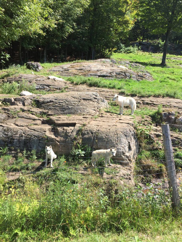 parc omega