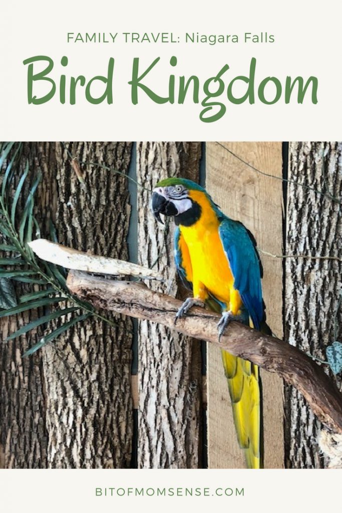 Why your family should visit Bird Kingdom in Niagara Falls
