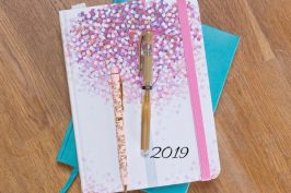 2019 planning notebooks