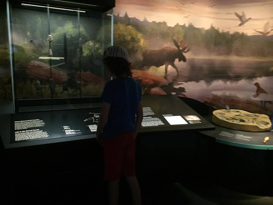 boy looks at exhibit at canadian history hall in ottawa