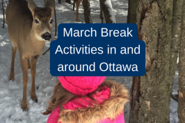 March Break Activities in Ottawa
